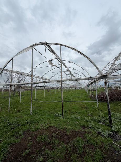 Land For Sale. Shulaveri