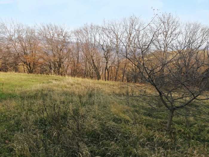 Land For Sale. Kveseti