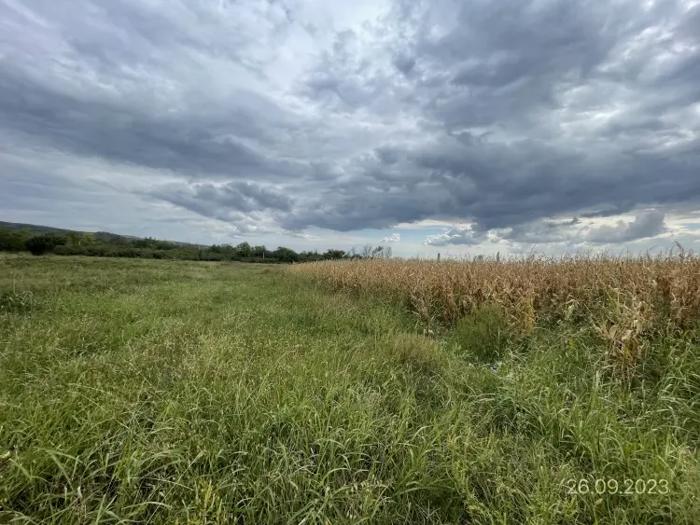 Land For Sale. Martkofi