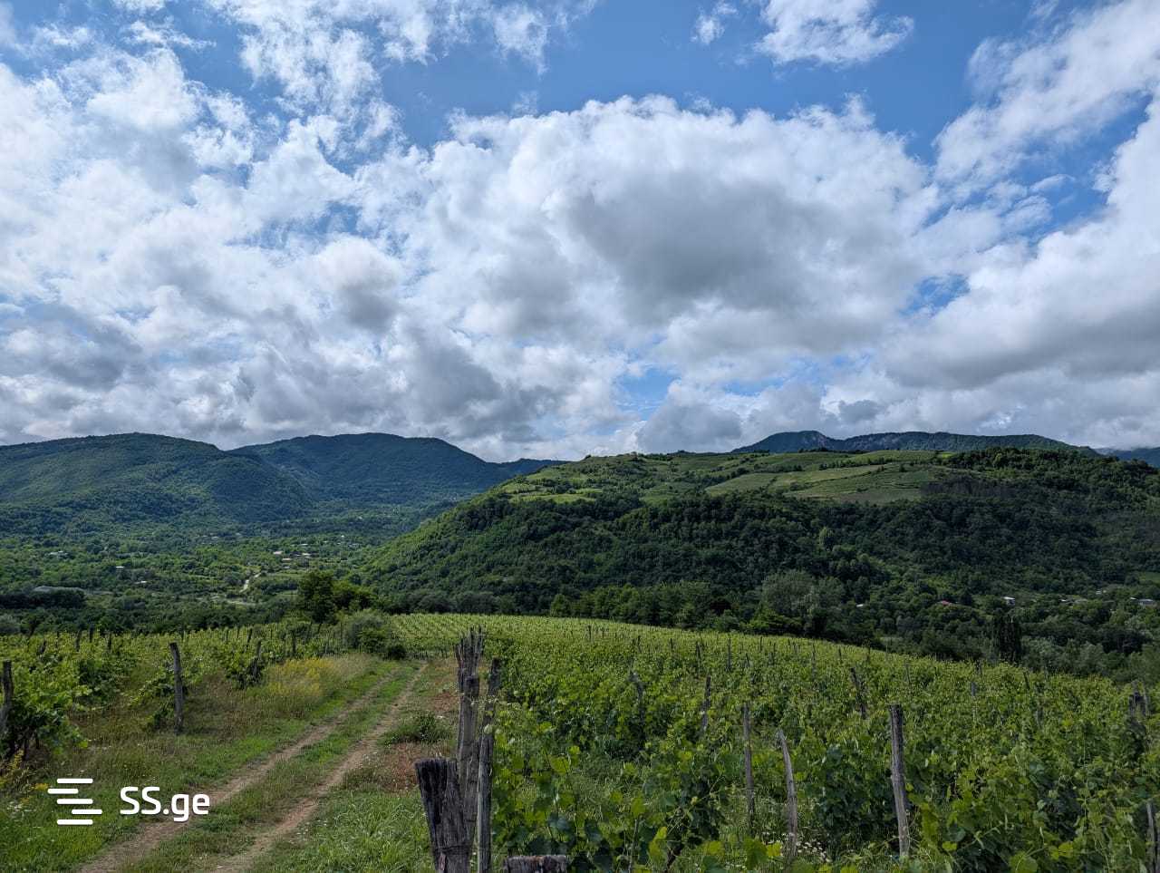 Продажа Земля в амбролаури view 10