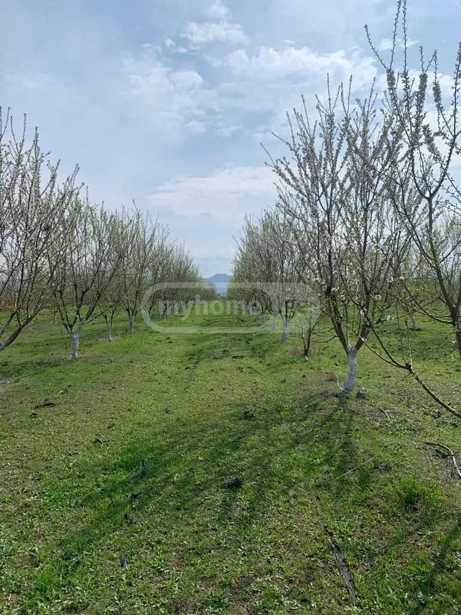 Land For Sale. Sioni
