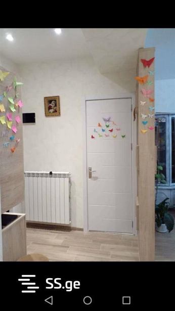 https://static.ss.ge/20260403/13_cf7bf5c0-dc71-42e1-9e90-3ae5050a23c7_Thumb.jpg