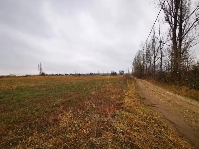 Land For Sale. Martkofi