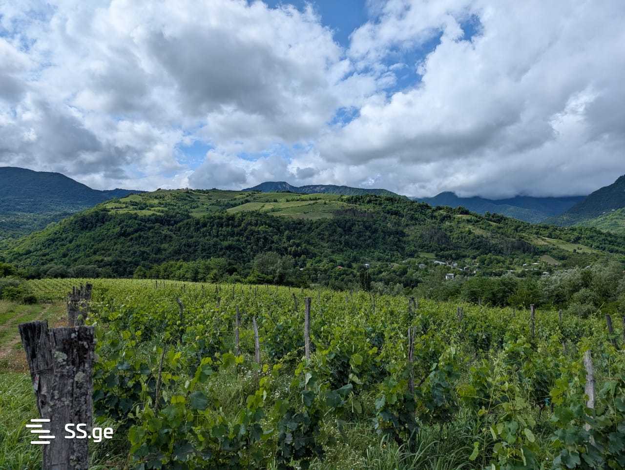 Продажа Земля в амбролаури view 6