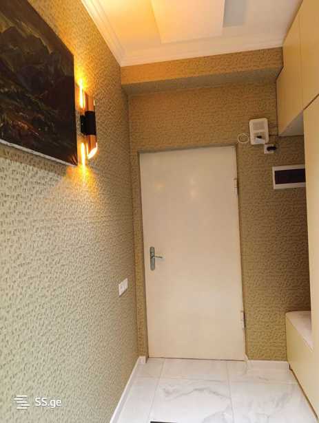 https://static.ss.ge/20260403/19_4815eafe-b9d0-4acb-b9cb-0aa586fdf069_Thumb.jpg