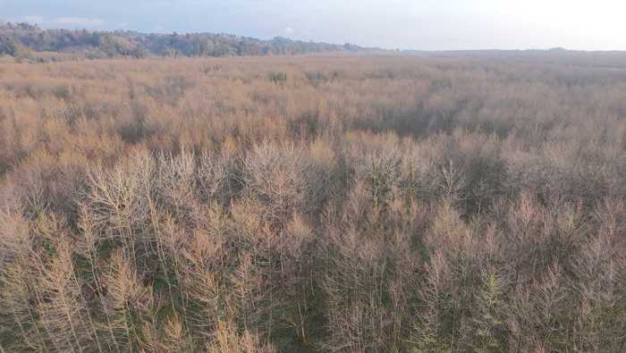 Land For Sale. Shroma