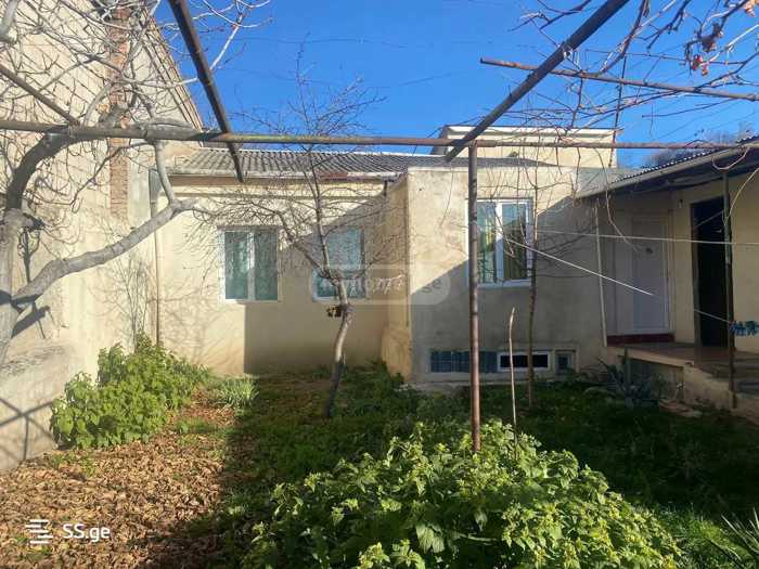 https://static.ss.ge/20260403/4_8680eb30-60b3-484c-ab79-de13962c0b98_Thumb.jpg