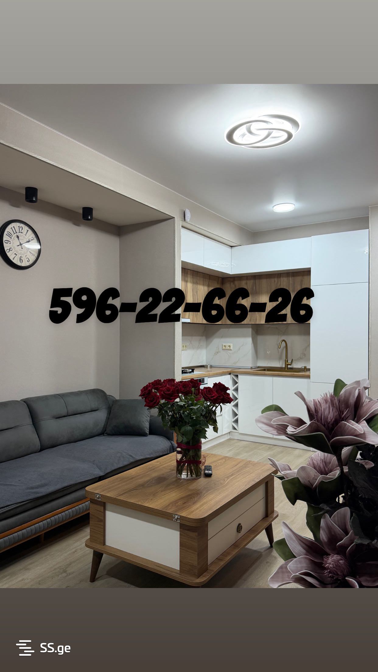 2 Room Flat Daily Rent. Samgori view 1