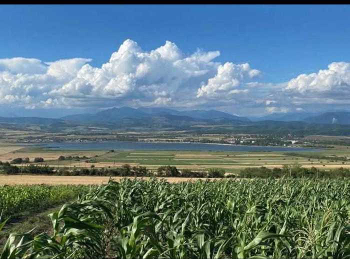 Land For Sale. Mlashe