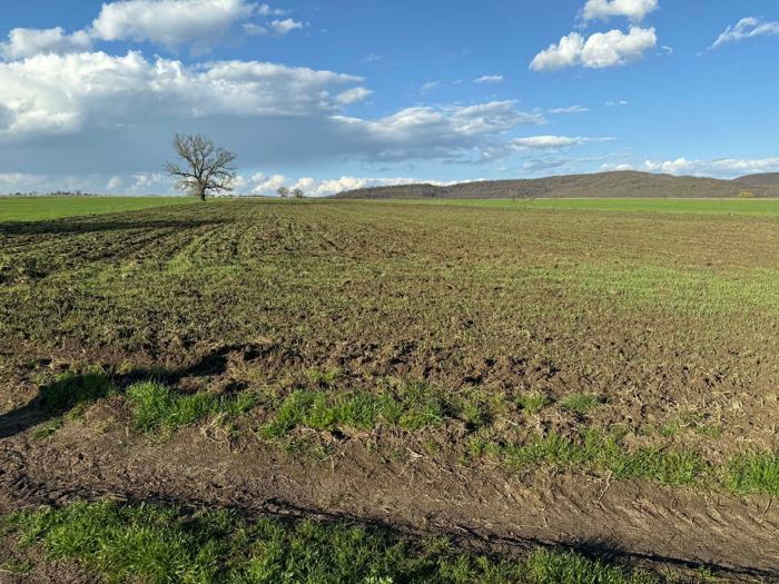 Land For Sale. Arashenda