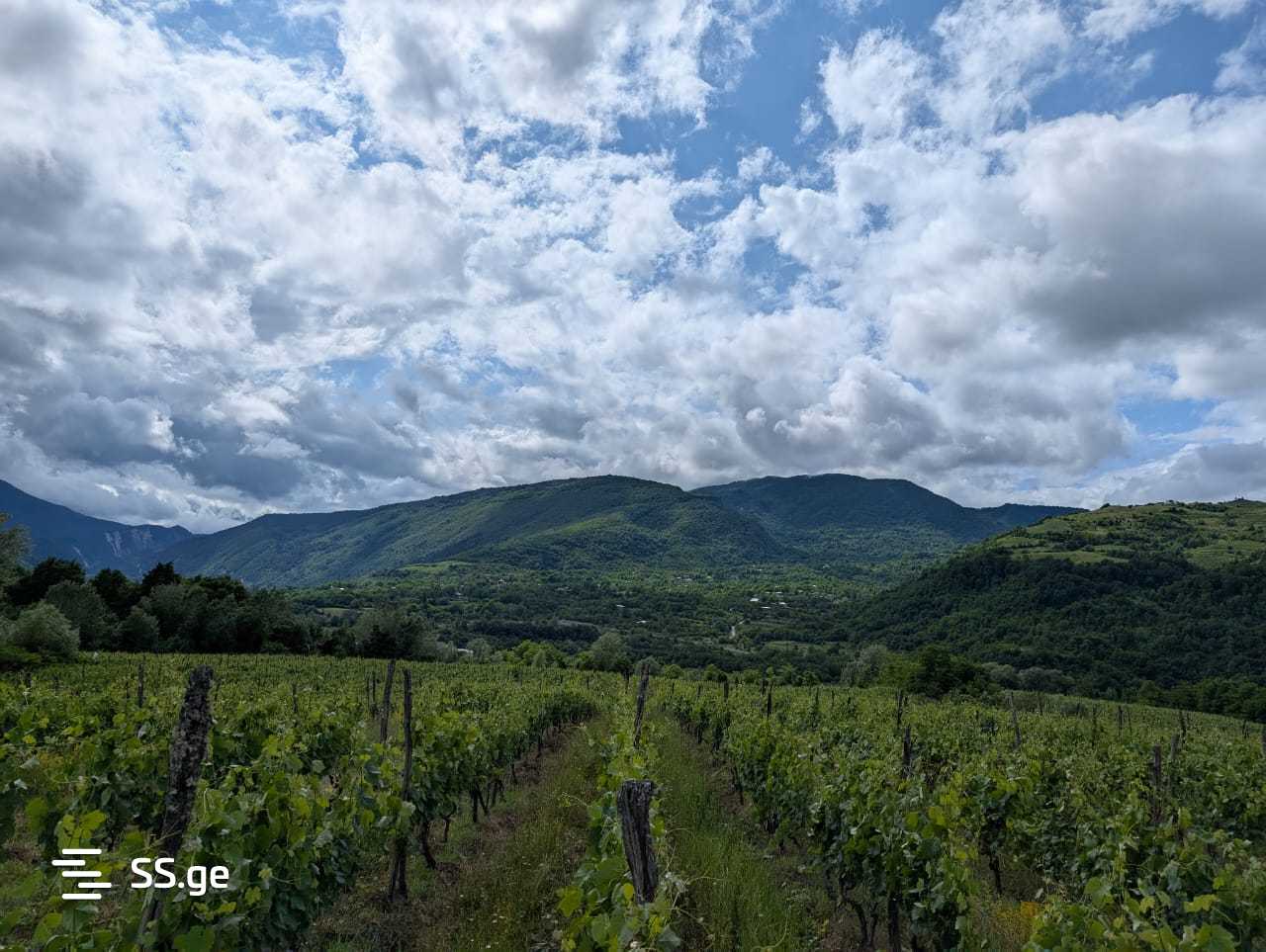 Продажа Земля в амбролаури view 5