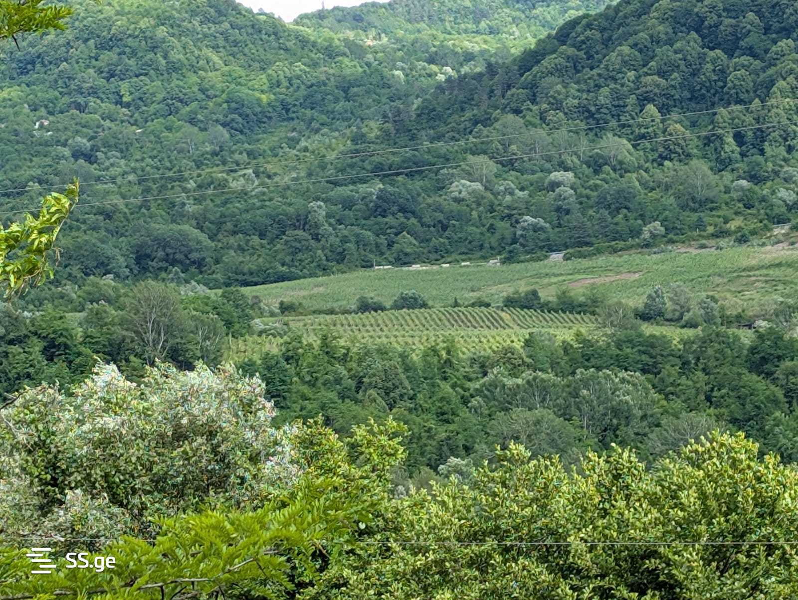 Продажа Земля в амбролаури view 1