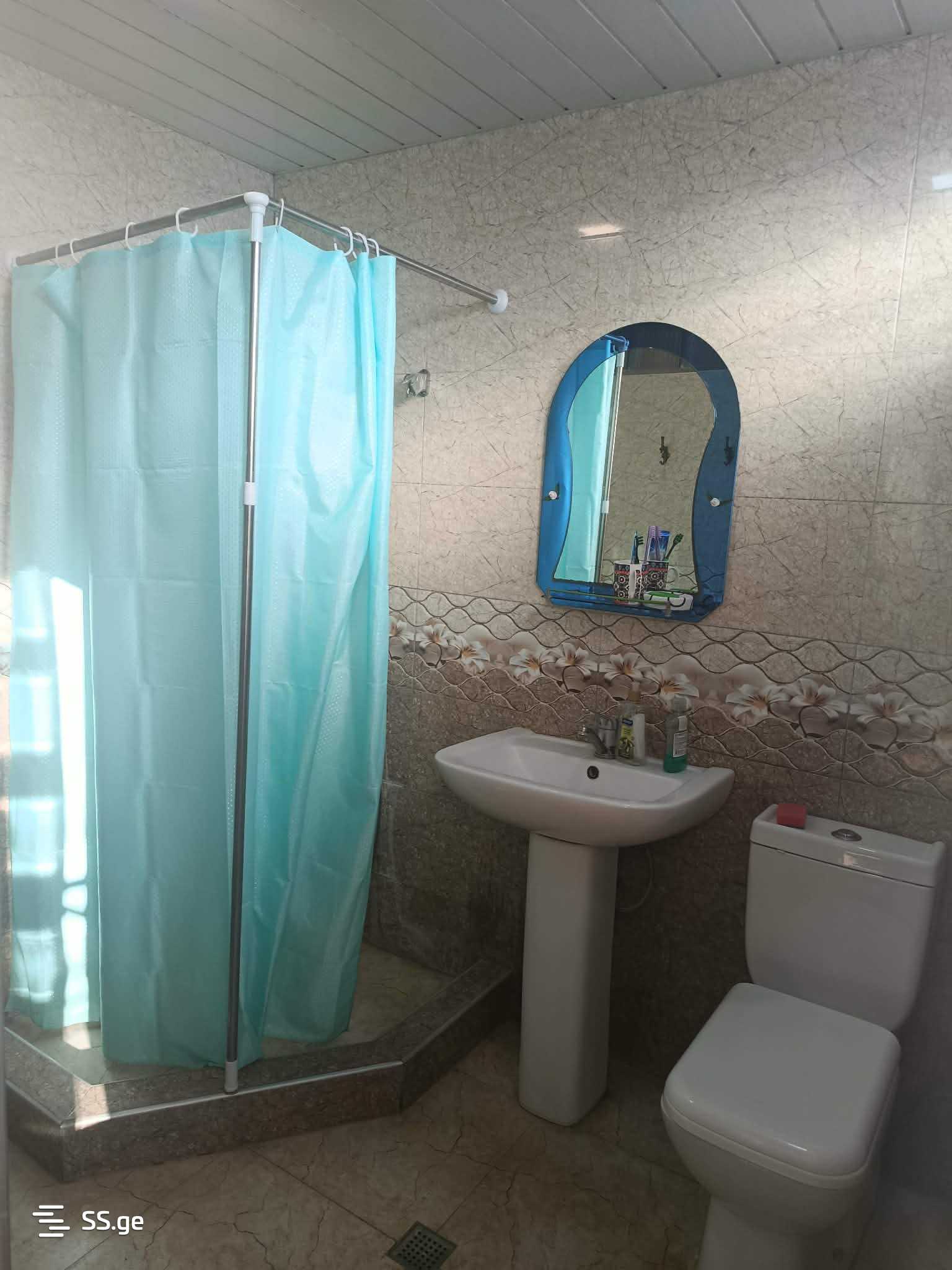 5 Room Private House For Rent. Rustavi view 3