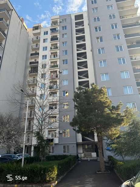 https://static.ss.ge/20260404/13_394d31ae-f7e0-408e-95d1-2c2b72fceeb5_Thumb.jpg