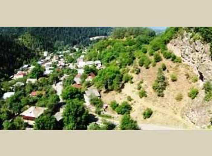 Land For Sale. Tsagveri