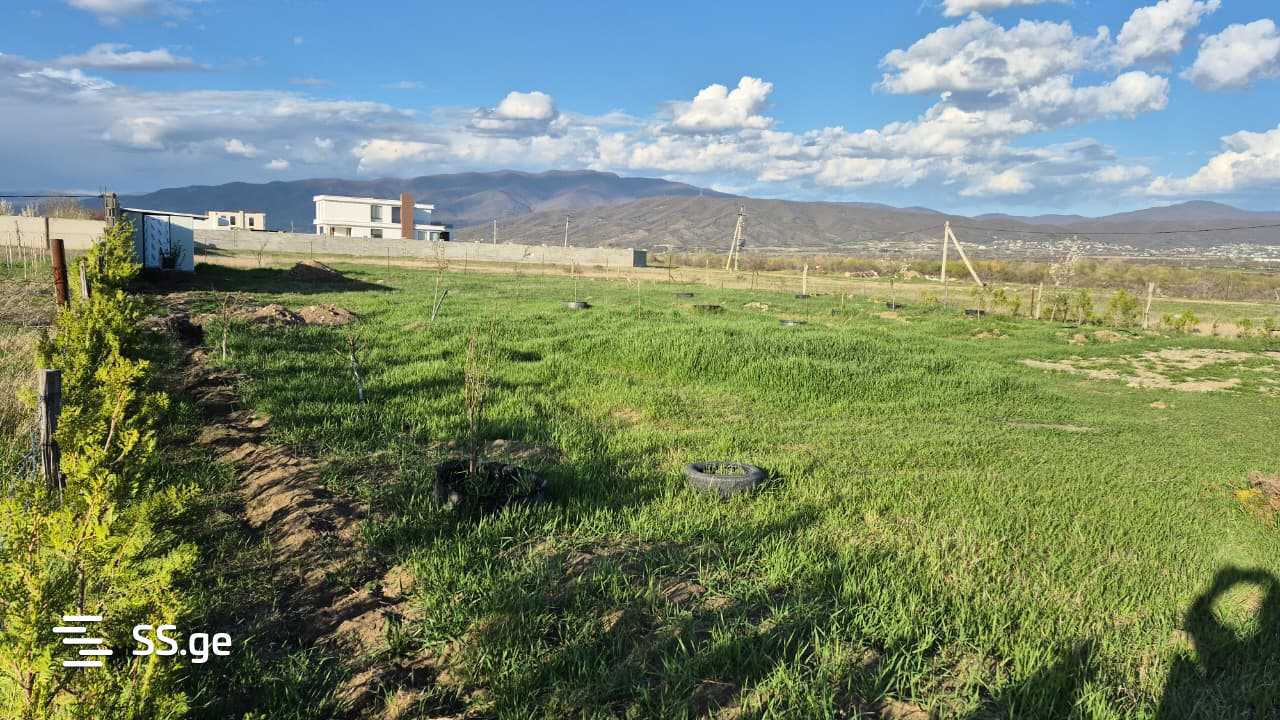Продажа Земля в мисакциели view 5