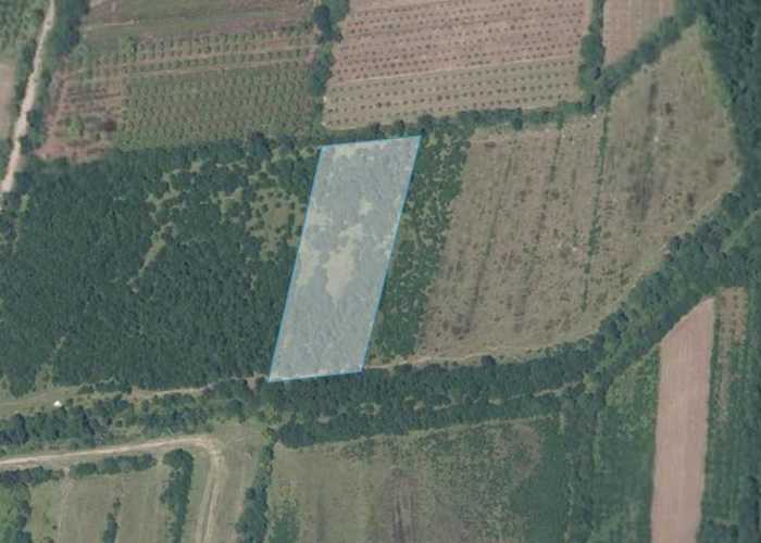 Land For Sale. Anaklia