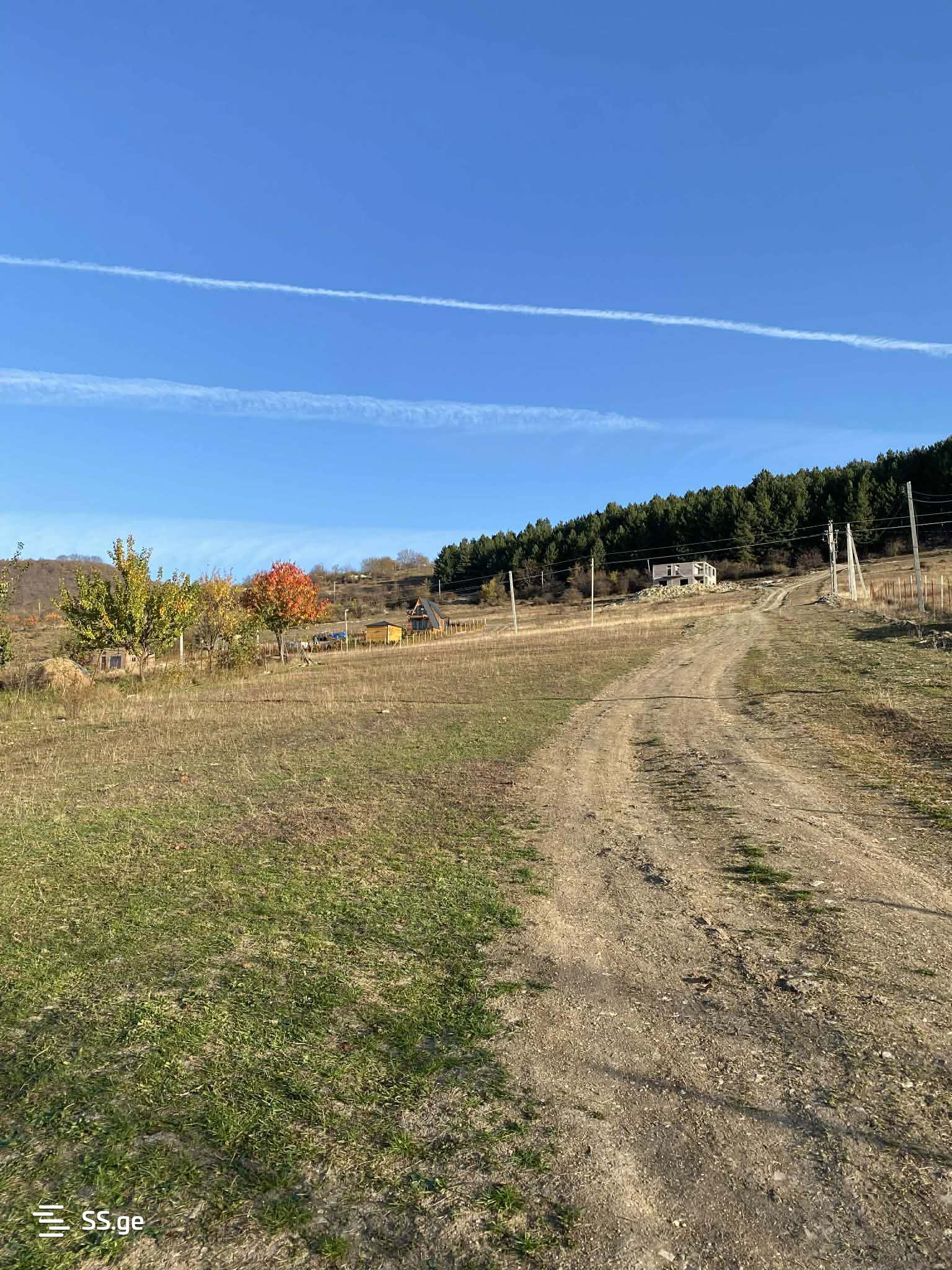 იყიდება Agricultural Plot In Dushetiში view 44