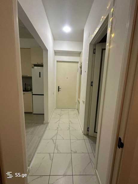 https://static.ss.ge/20260404/19_03eb4e83-fa57-4218-82f5-09972988606d_Thumb.jpg