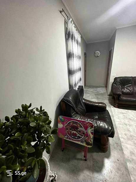 https://static.ss.ge/20260404/5_532bff52-a96d-48fa-81f1-a5cf16e5272a_Thumb.jpg
