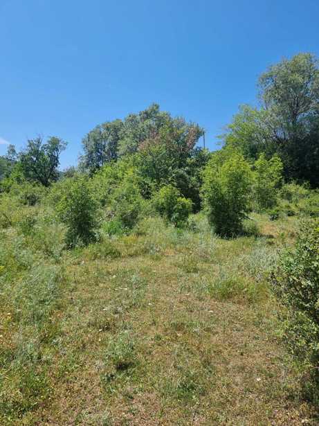 Land For Sale. Dzegvi