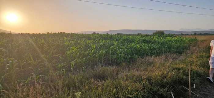 Land For Sale. Mukhrani