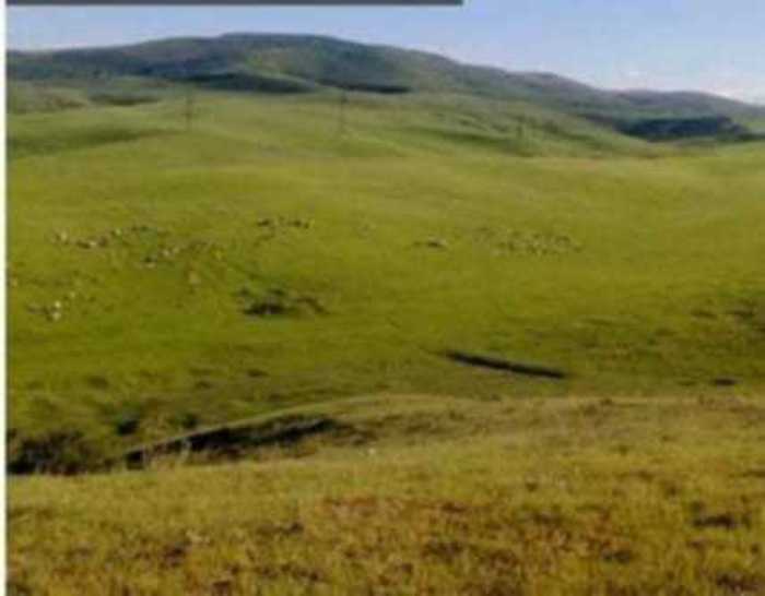 Land For Sale. Marneuli