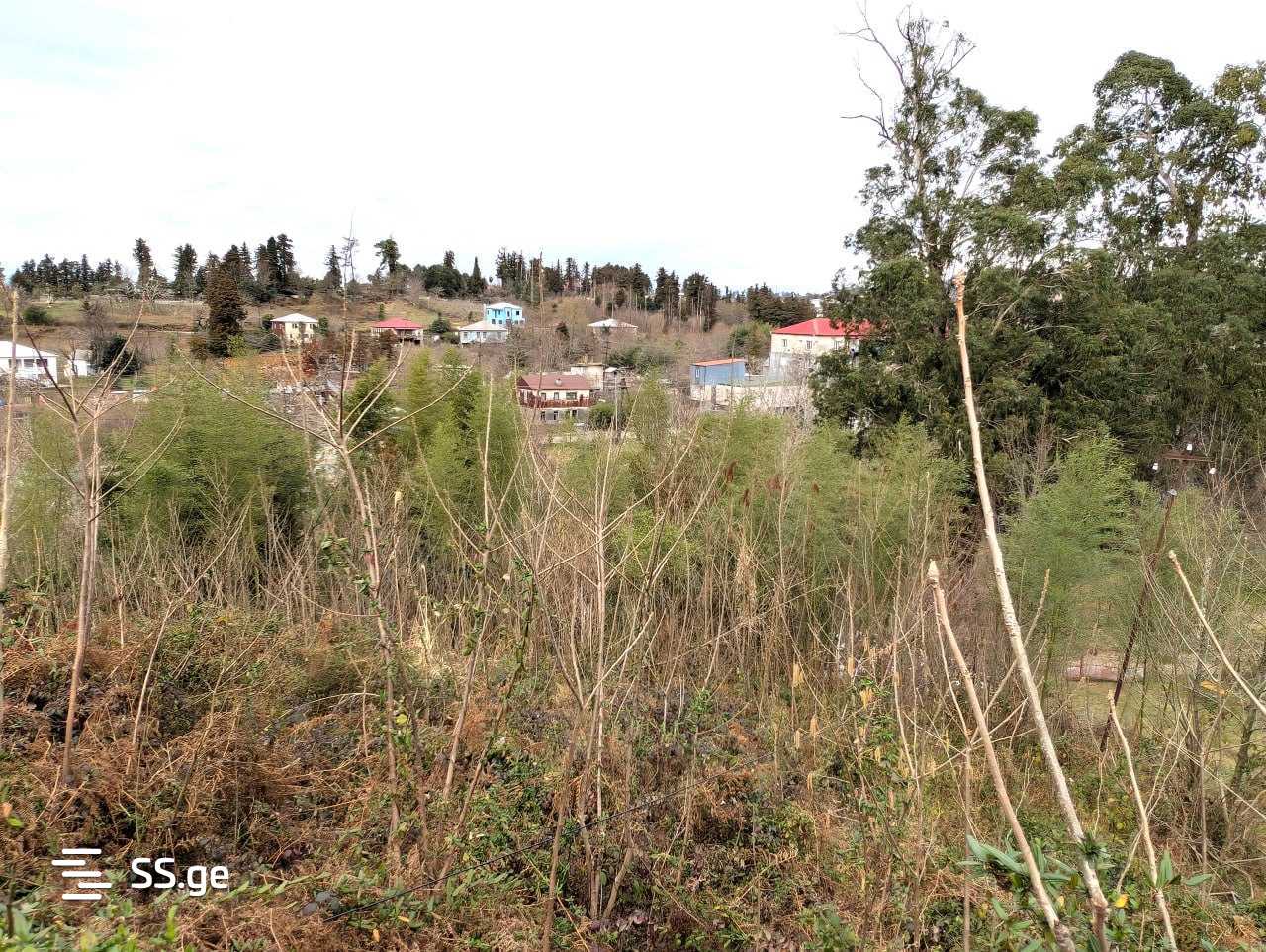 Land For Sale. Chaqvi view 3