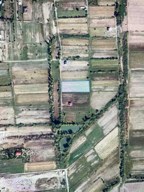 Land For Sale. Mukhrani