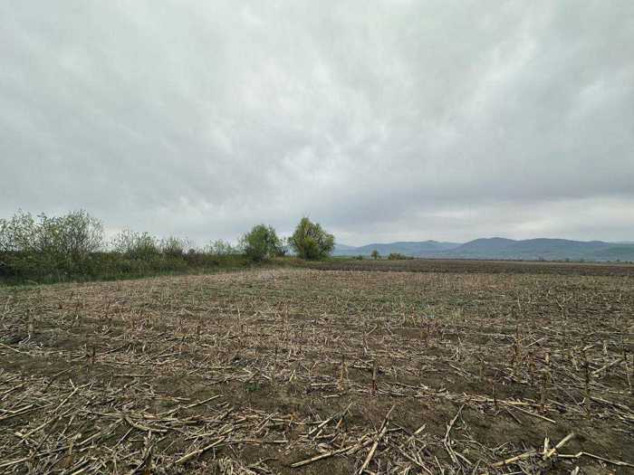 Land For Sale. Ozhio