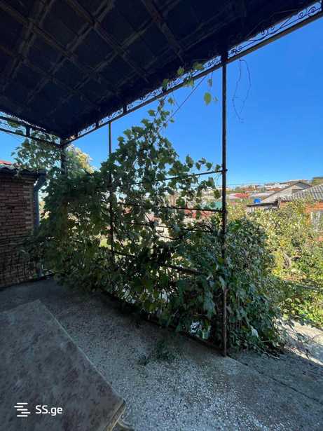https://static.ss.ge/20260406/12_0e1c916e-1a2f-4d38-a3ec-e588d90404e7_Thumb.jpg