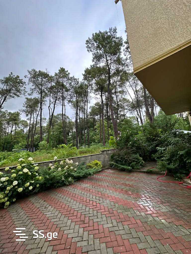 Summer Cottage For Sale. Shekvetili view 10