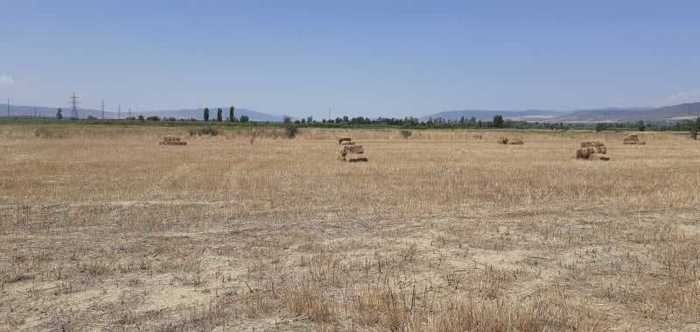 Land For Sale. Norio