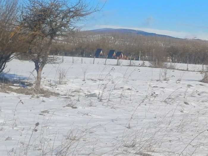 Land For Sale. Tianeti