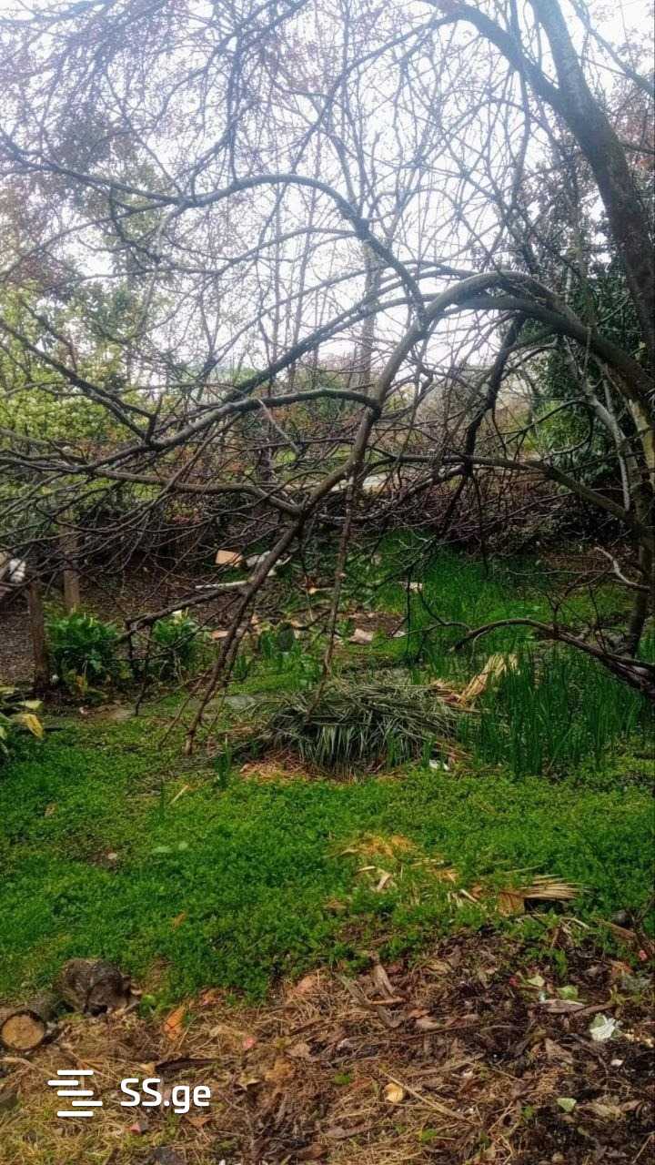 Land For Sale. Batumi view 1