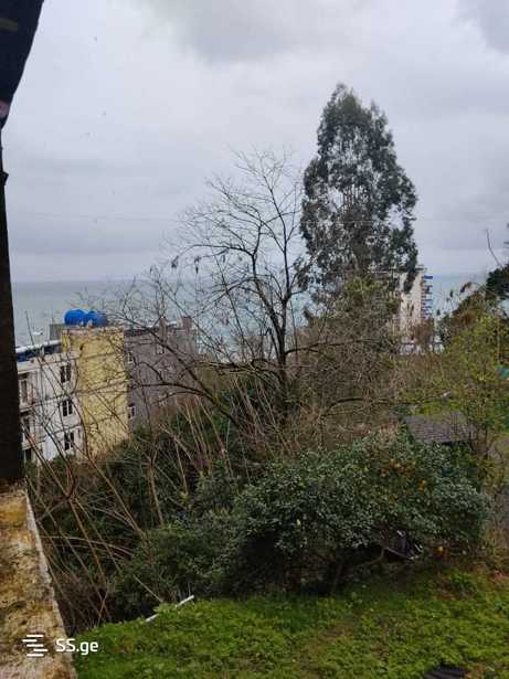 https://static.ss.ge/20260406/16_1aa1d18b-1d42-40fd-a4a1-7986d519de20_Thumb.jpg