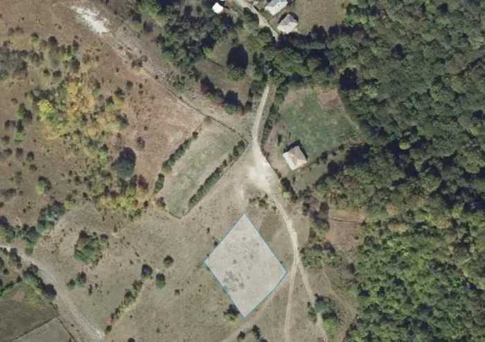Land For Sale. Gombori