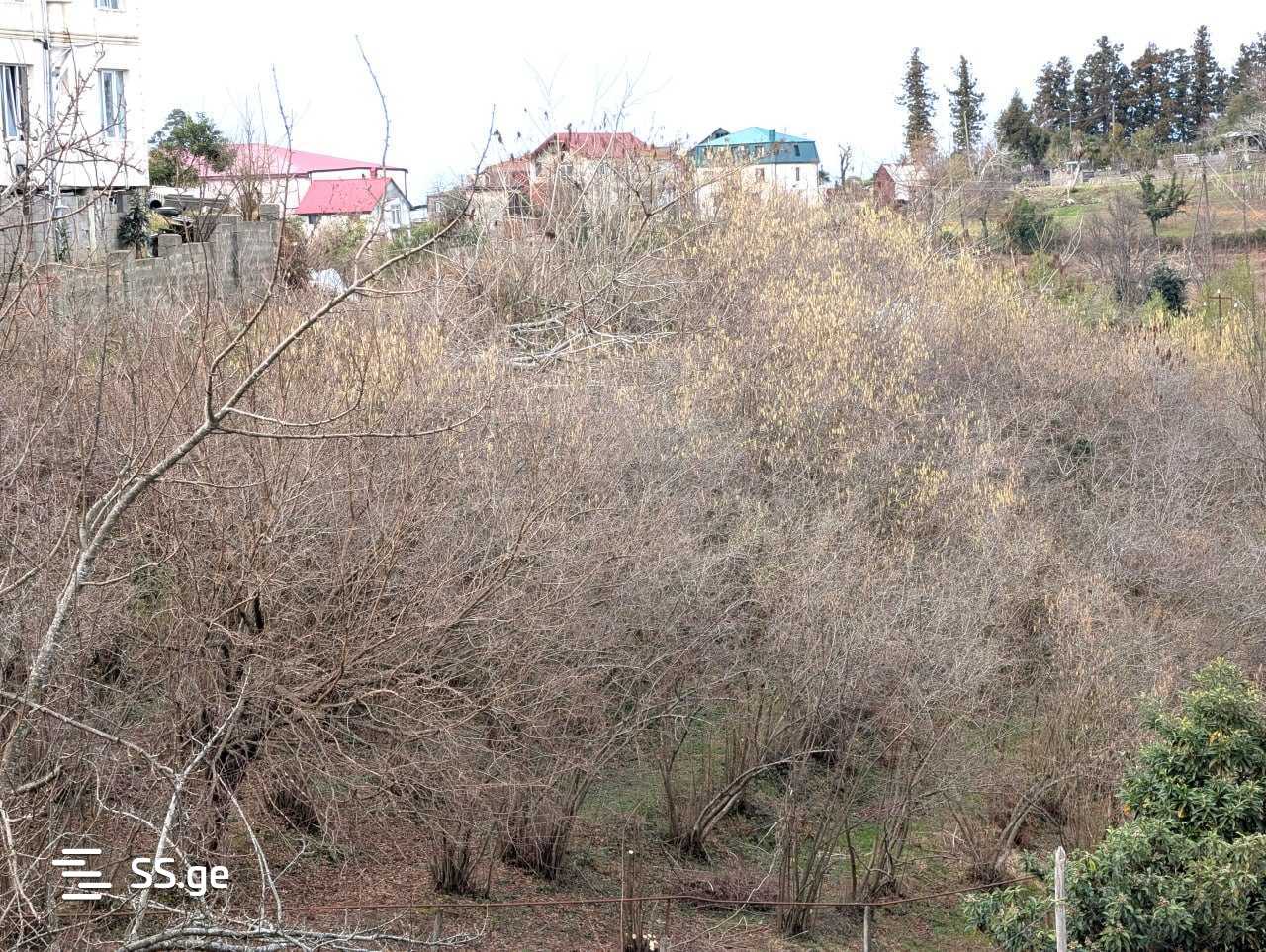 Land For Sale. Chaqvi view 6