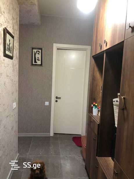 https://static.ss.ge/20260406/2_816cb776-2b0c-4cdf-9900-a250e5e6f0fa_Thumb.jpg
