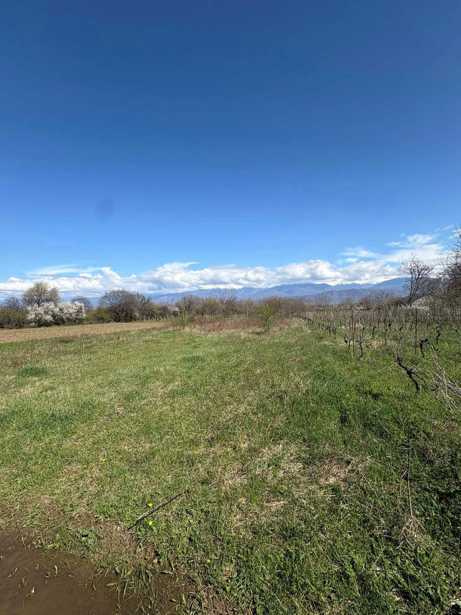 Land For Sale. Kurdghelauri