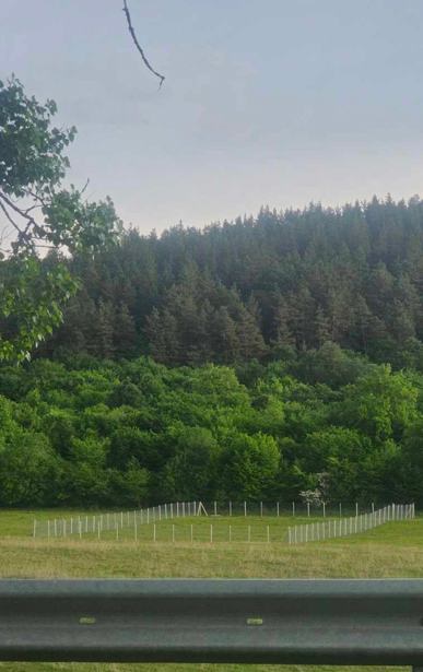 Land For Sale. Tianeti