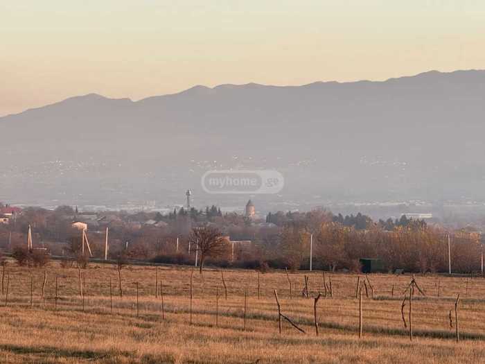 Land For Sale. Ereda