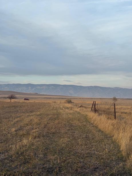 Land For Sale. Kavtiskhevi