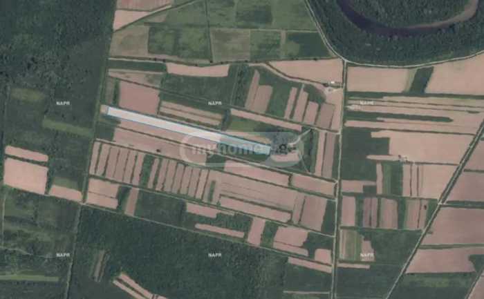 Land For Sale. Lanchkhuti