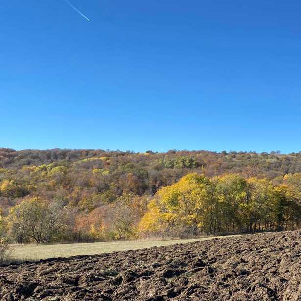 Land For Sale. Orbeti