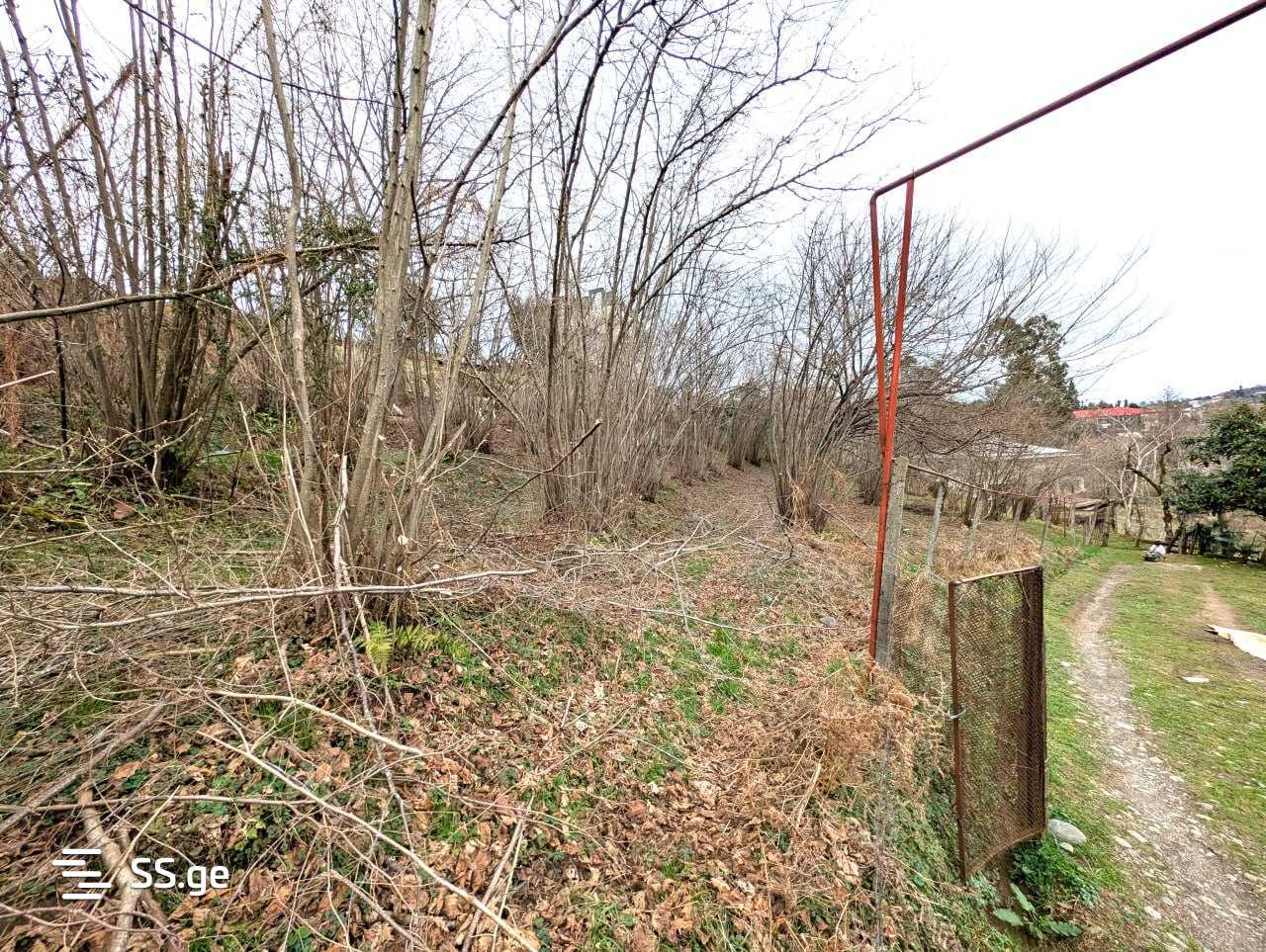 Land For Sale. Chaqvi view 5