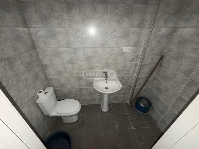 https://static.ss.ge/20260406/5_31ad38b1-9a24-43ad-a114-a6f82ec54327_Thumb.jpg