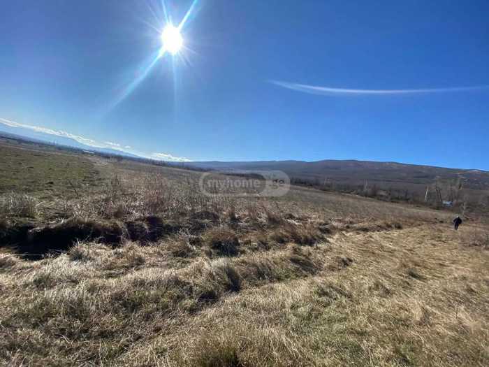 Land For Sale. Okami