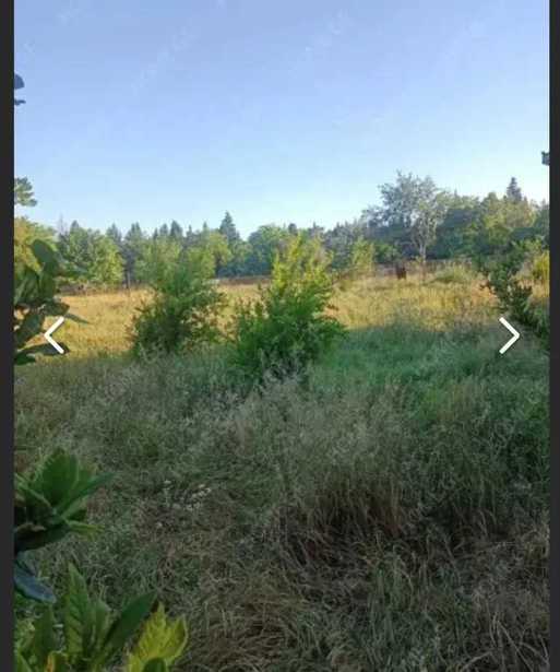 Land For Sale. Gamarjveba