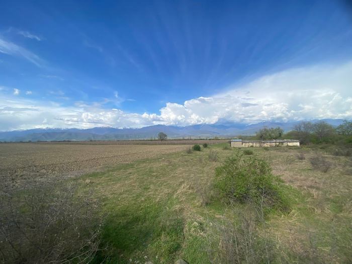 Land For Sale. Tsinandali